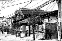 _dsc7289-1pen and ink crosshatch